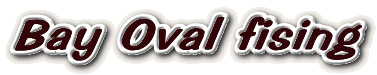 Bay Oval fising