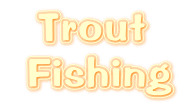 Trout
 Fishing